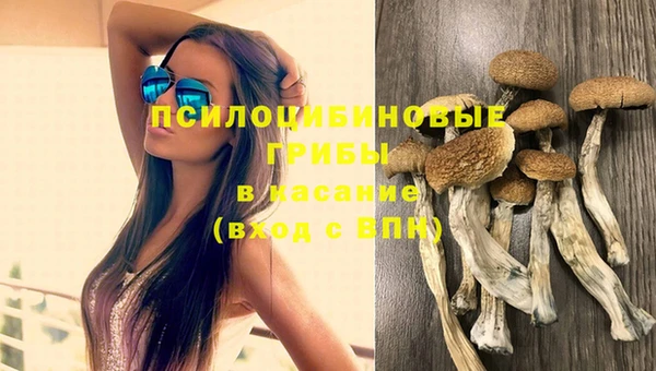соль курить ск Алексеевка