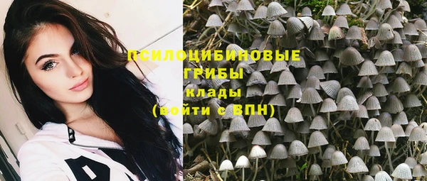 ALPHA PVP Алексин
